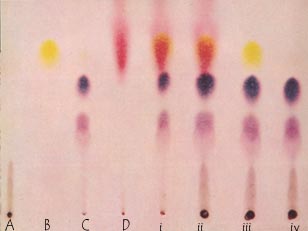 paper chromatogram of dyes and mixtures